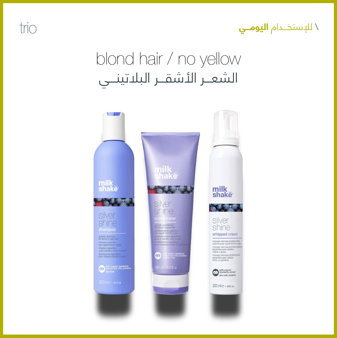 Silver Shine daily use haircare set for blonde and grey hair Ð Sadeen Cosmetics, Amman Jordan