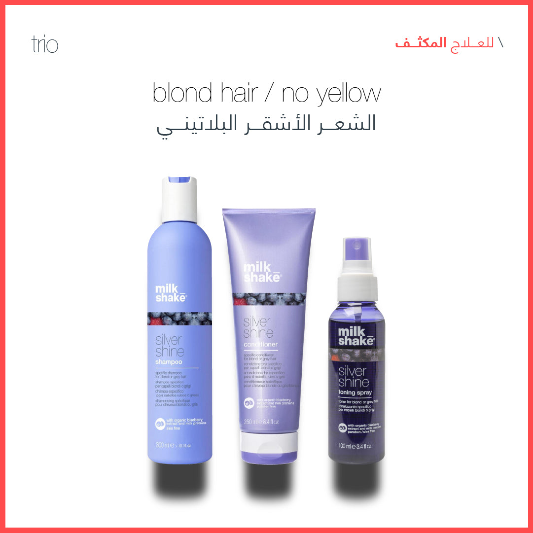 Silver Shine daily use haircare set for blonde and grey hair Ð Sadeen Cosmetics, Amman Jordan