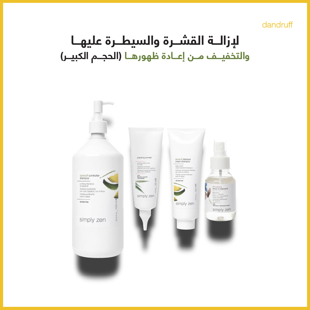 dandruff removal & detoxifying treatment combo large size - sadeenco